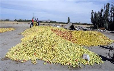 ضایعات 30 درصدی محصولات کشاورزی در لرستان