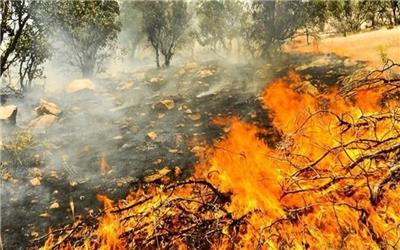 معرفی 19 عامل آتش سوزی جنگل‌های لرستان به مراجع قضایی